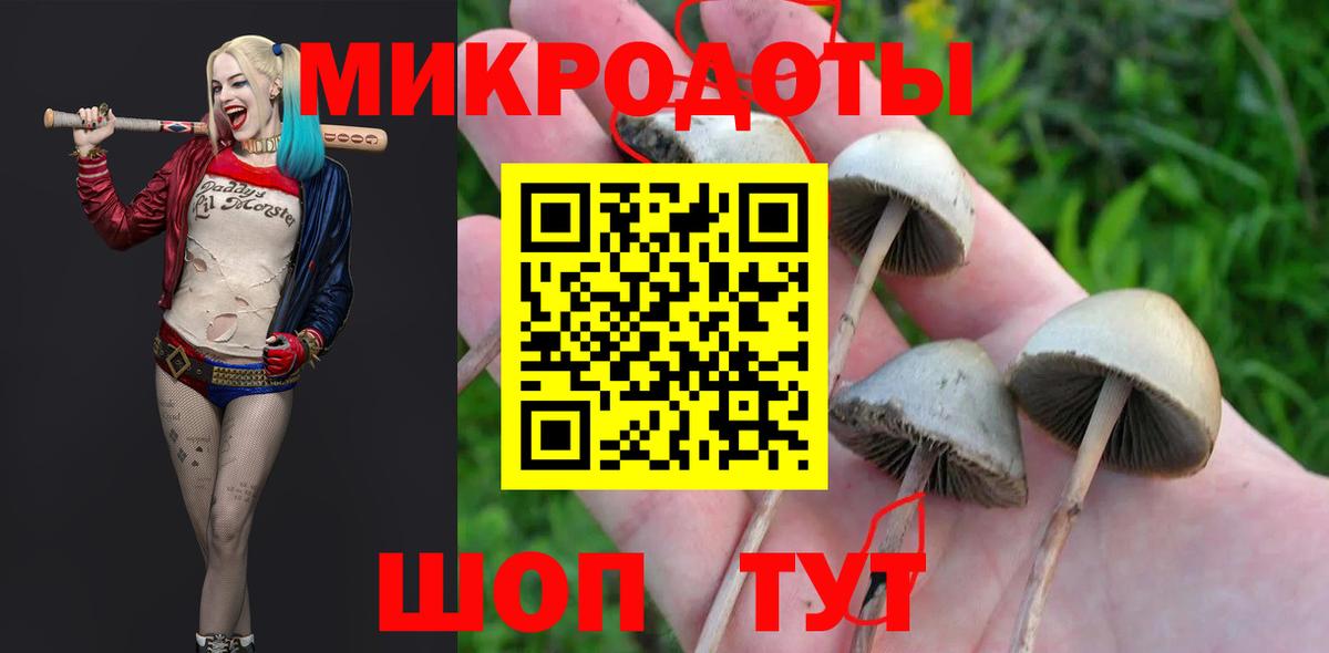Галлюциногенные грибы мицелий Менделеевск